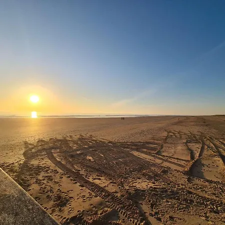 公寓 2 Pieces Avec Balcon, Proche Et Golf - Jean De Monts - Fr-1-224c-285 圣让-德蒙